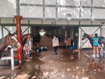 People grooming horses in a stable wash area with stalls lining the corridor.
