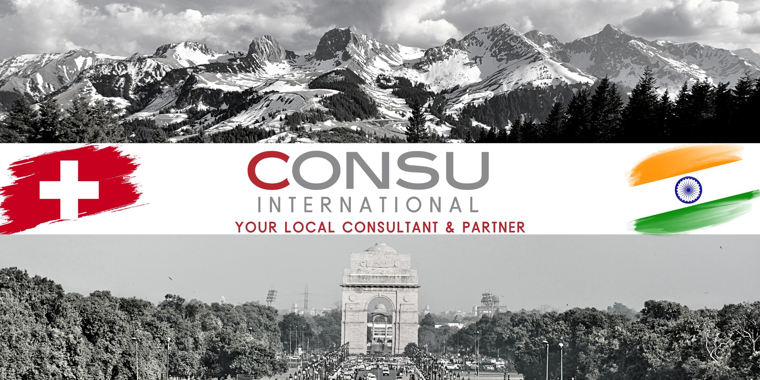 Consu International
