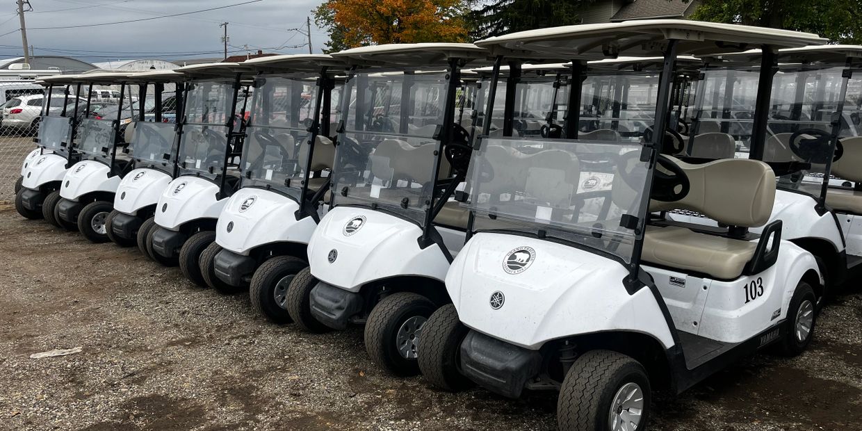 Yamaha golf carts lined up in Grand Rapids, MI, lot