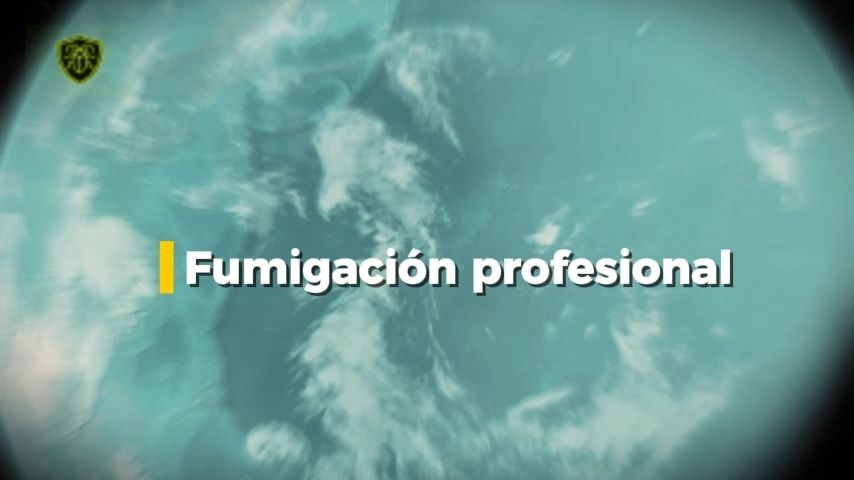 https://img1.wsimg.com/isteam/ip/08e1871f-9a69-4ffd-a372-f9a990e69b14/thumbnails/thumbnail-deec6f45-b6b0-4cd6-8b60-3c753e794b56.png