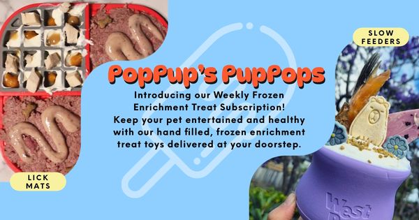 Weekly frozen enrichment treats
hand-filled toys delivered at your doorstep starting at $20/month