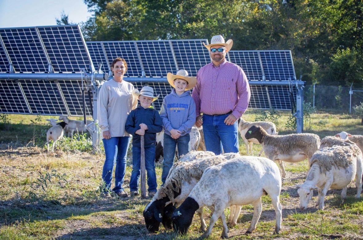 texassolarsheep.com