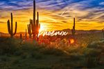 Best Things to Do in Phoenix