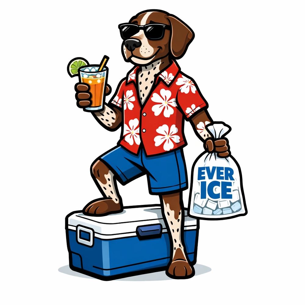 Cool dog in sunglasses with a drink and ice bag, standing on a cooler.