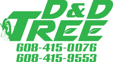 D&D Tree LLC.