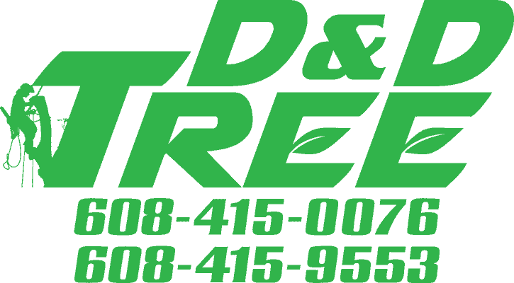 D&D Tree LLC.