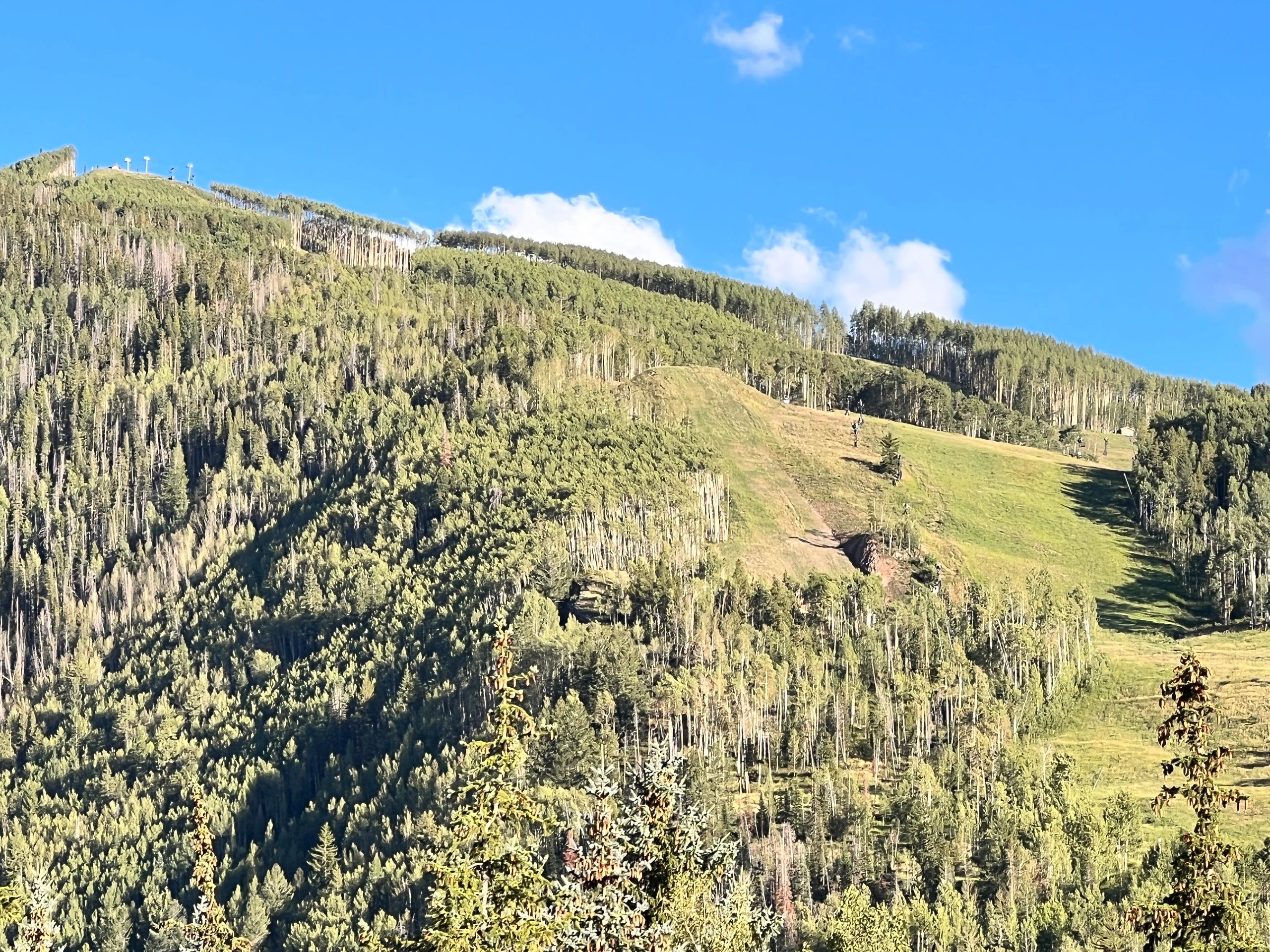 Commercial Window Cleaning Services | Top Rung Window Cleaning