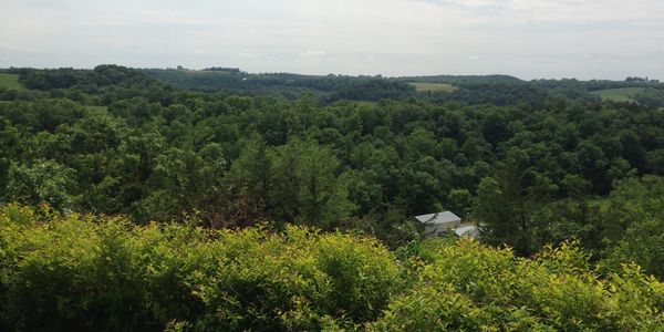 Lanesboro Golf Course: Experience a Golf Course with Restaurant