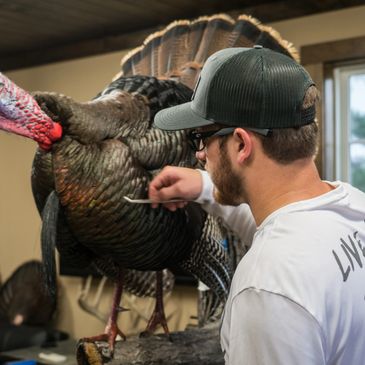 Patterson Outdoors Turkey Taxidermy
Lillington, North Carolina