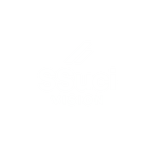 SSucí Vision