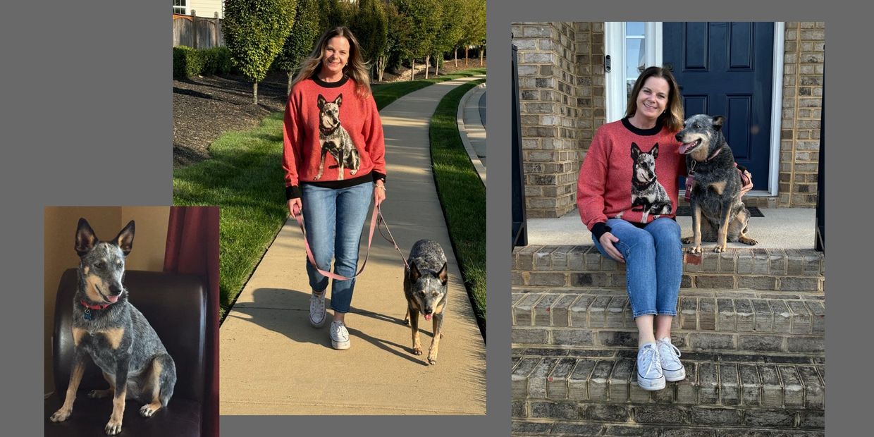 Custom knitted Pet Sweater