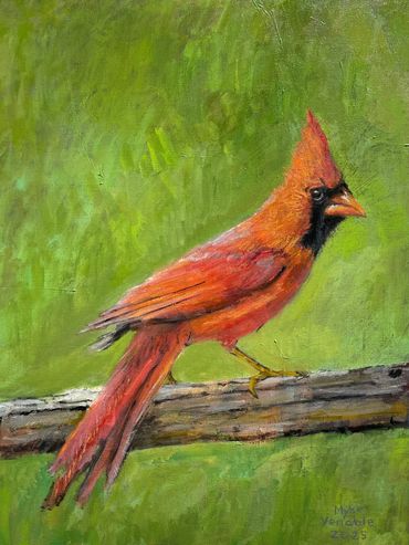 Cardinal, 2025, oil on canvas, 24x18x1.5 in. 