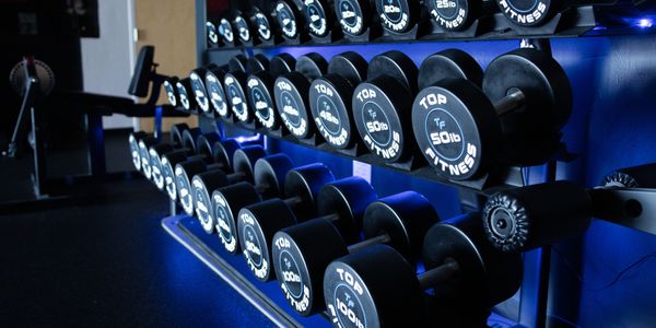 Rows of illuminated dumbbells in a gym setting.