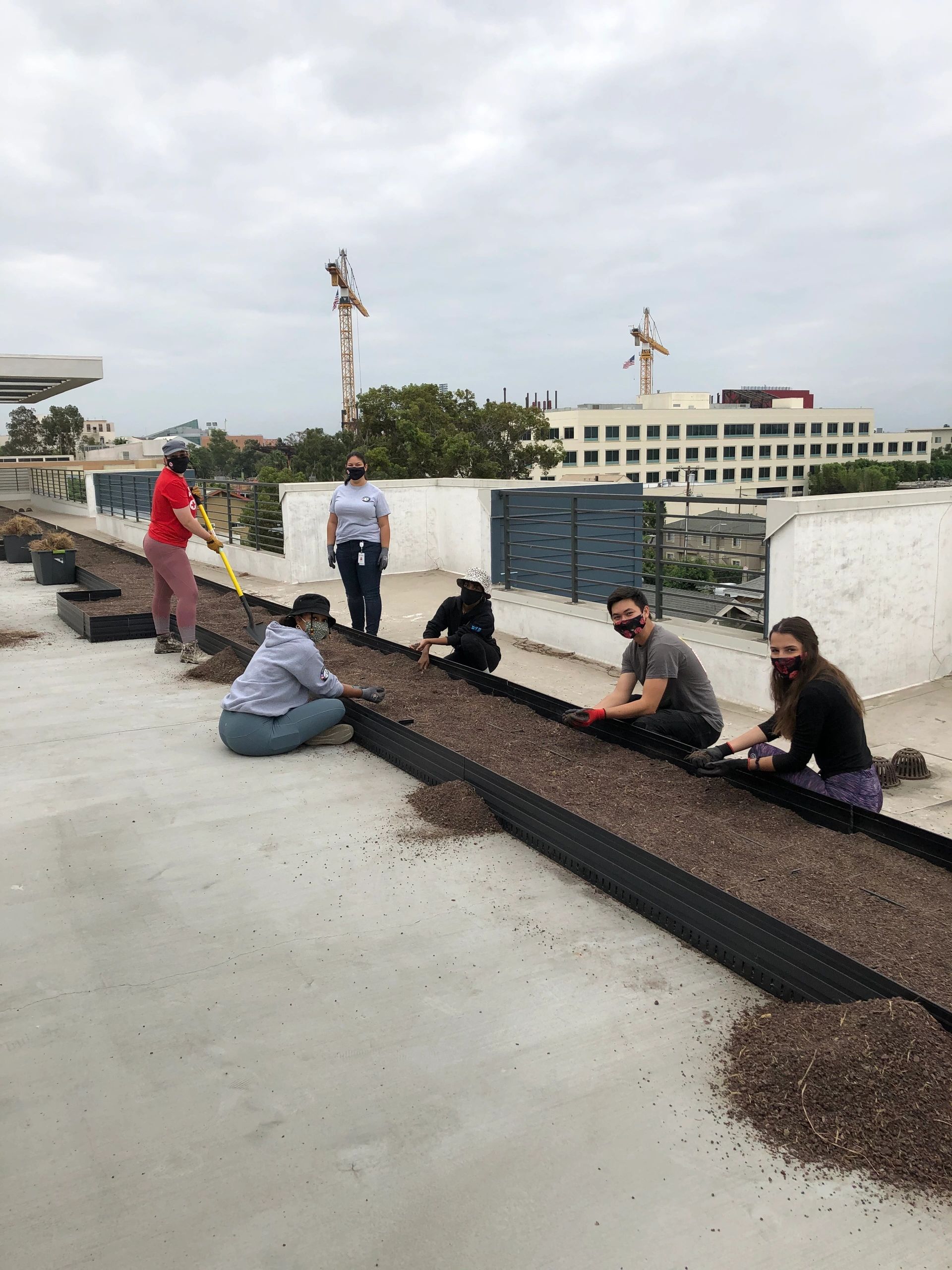 Rolland Curtis Rooftop Garden