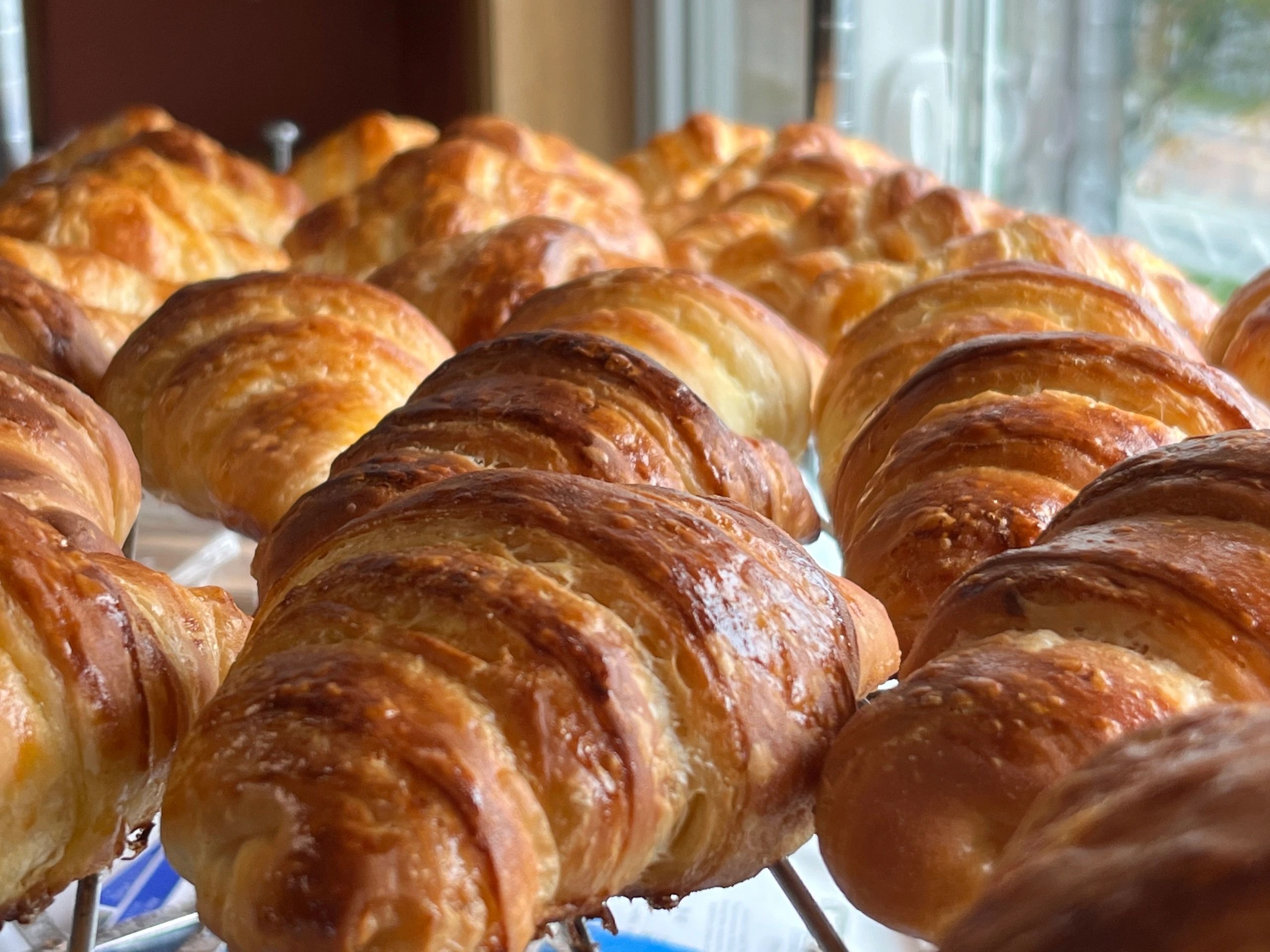 Find a Sourdough Bakery Near Me Schoodic Baking Company