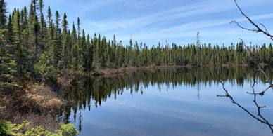 View of nature, lake in northern Ontario with spruce trees. 
