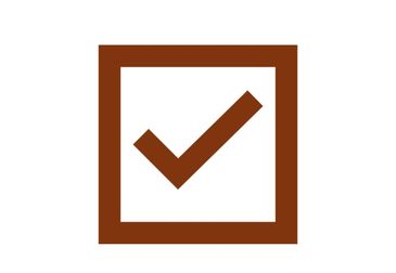 Brown checkmark inside a square box.