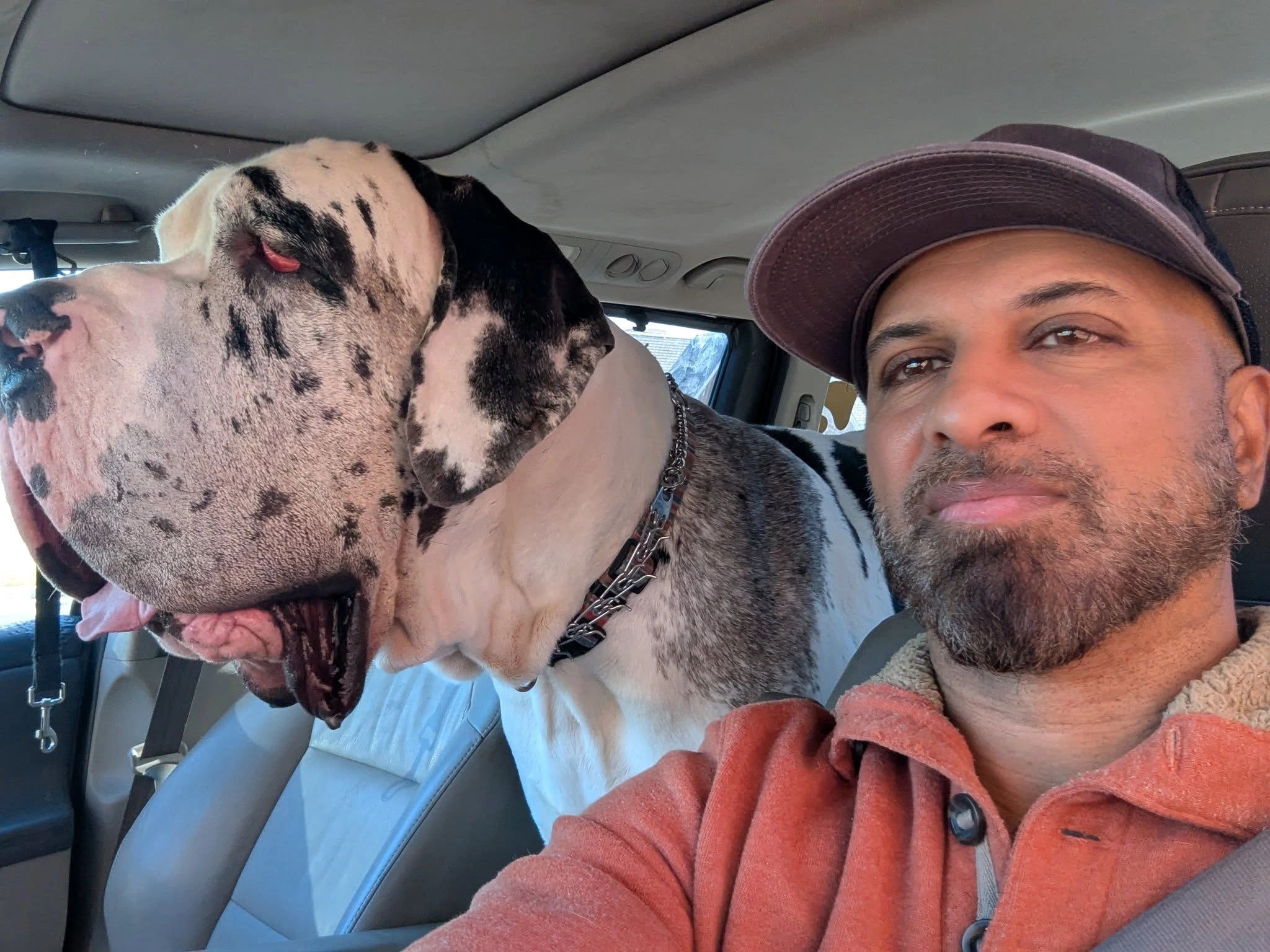 Jeff beside a Great Dane in a photo from Paws and Effect RVA.
