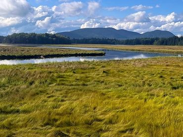 Bass Harbor Marsh, Acadia National Park