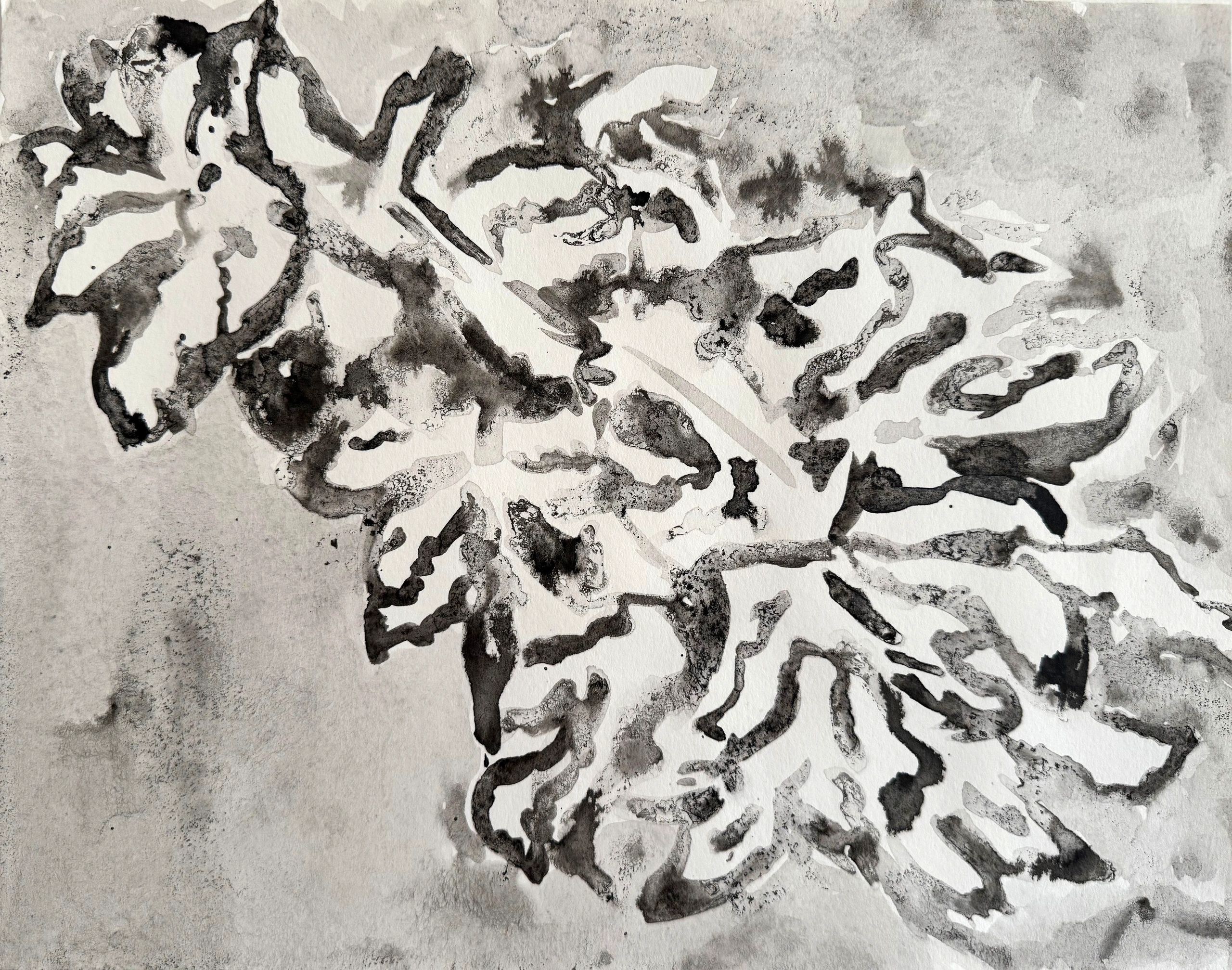 Foliage. Ink on paper.