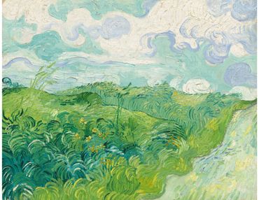 Green Wheat Fields, Auvers, 1890 by Vincent Van Gogh. Photo: National Gallery of Art.