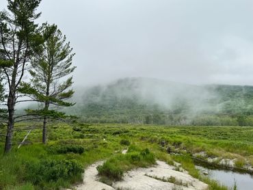 Great Meadow, Acadia National Park. Photo: Kathryn Odell-Hamilton.