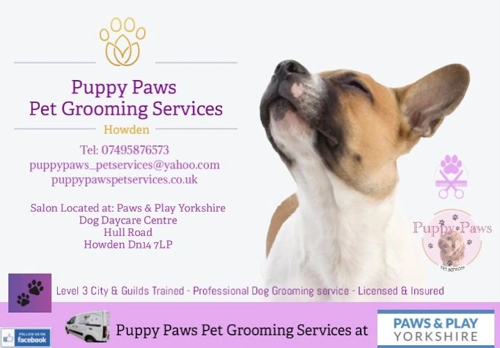 Dog bathing service sales near me