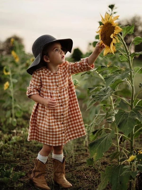 Photos at Turk Farm in the sunflowers