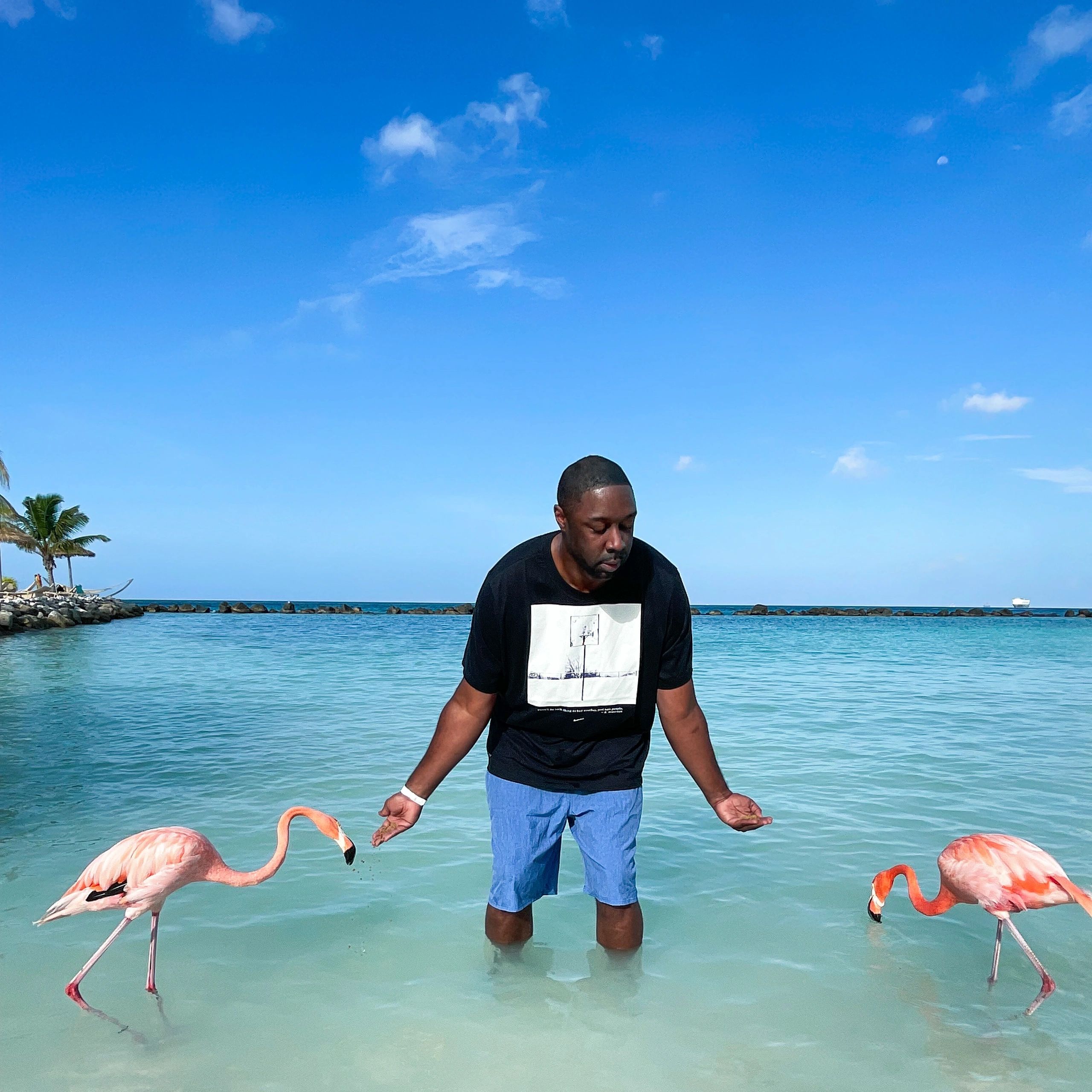 (5) Things You Need to Know Before Visiting Flamingo Beach Aruba!