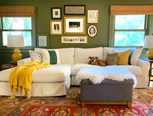 Curated photo wall and happy dog on the cozy couch