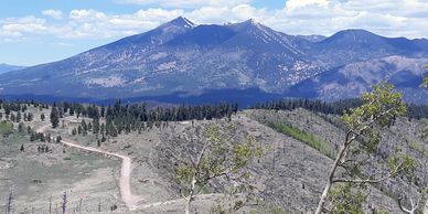 View from the top of Mount Elden