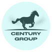 Century Group Consulting 