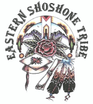 Eastern Shoshone Education