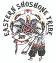 Eastern Shoshone Education