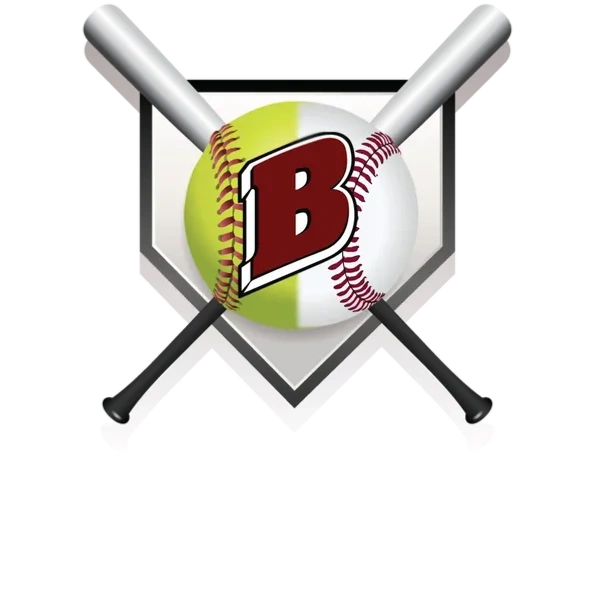 Lake Geneva Jr Badger Baseball and Softball organization logo
