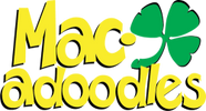 Our Name Macadoodles with a shamrock