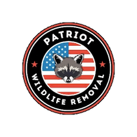Patriot Wildlife Removal
