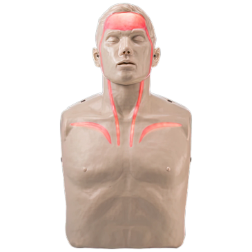Bust of a human figure with highlighted red areas on head and neck.