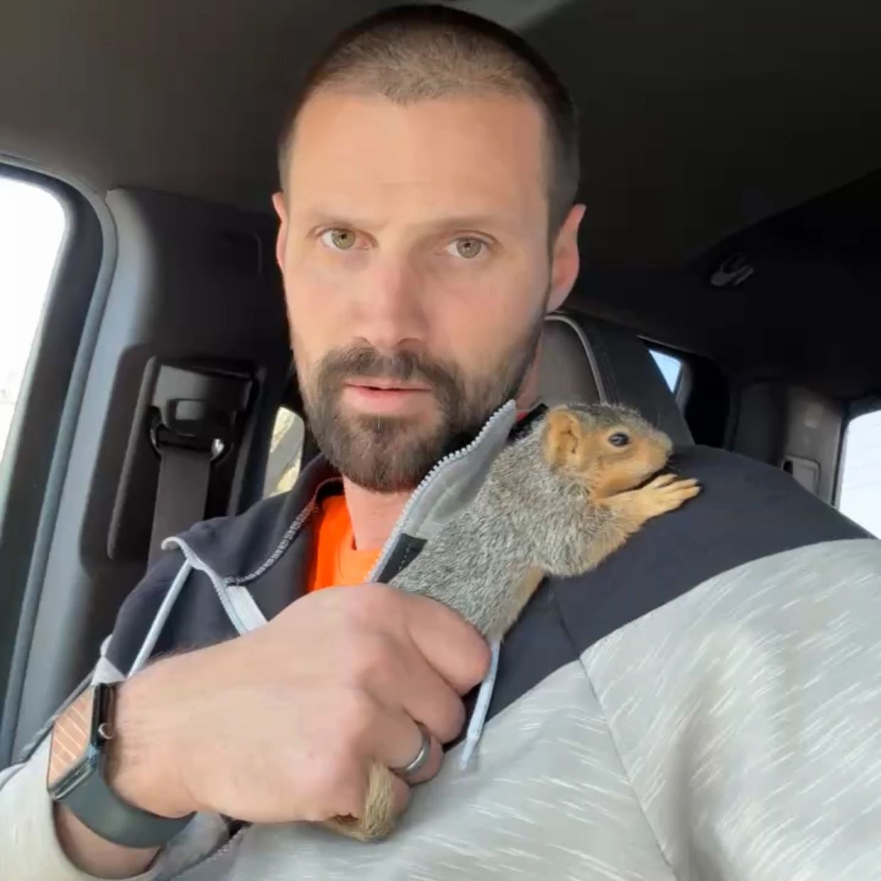 Squirrel Removed from attic