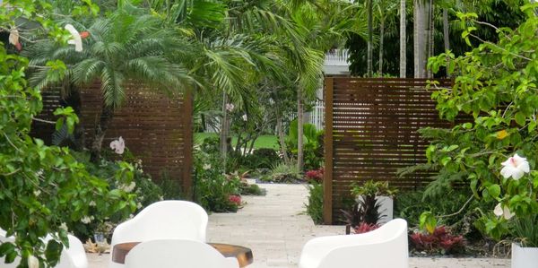 tropical backyard high end remodel palm tree design