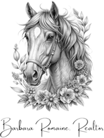 Barbara Romaine Realtor 