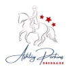 Ashley Perkins Dressage 