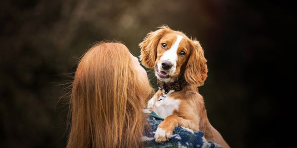 Woman holding a brown and white spaniel outdoors against a dark woodland background.
