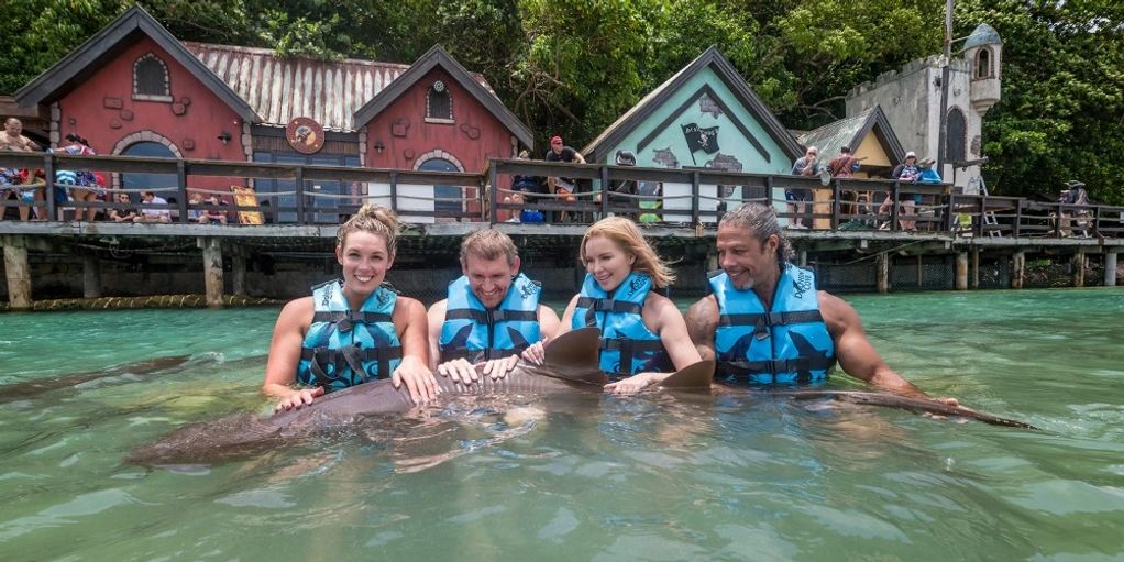 Dolphin Cove Ochi Rios, Jamaica Tours and Excursions. Get There Tour