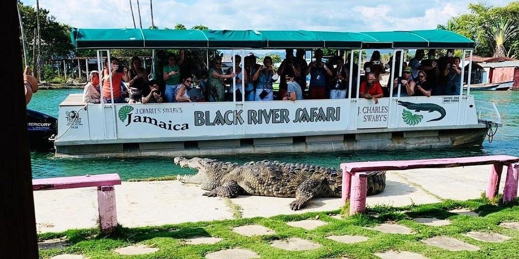 Black River Safari St. Elizabeth. Jamaica Tours and Excursions. Get There Tour