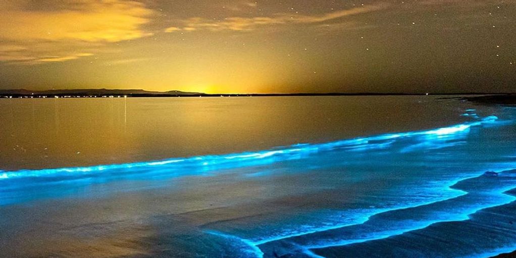 Luminous Lagoon Glistening Waters, Jamaica Tours and Excursions. Get There Tour