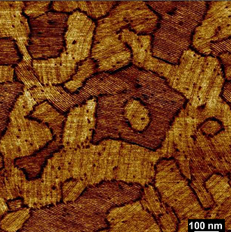 AFM (phase map) of a perylene bisimide - polyolefin conjugate