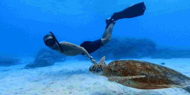 freediver swimming with a turtle , in Koh Tao Thailand 
