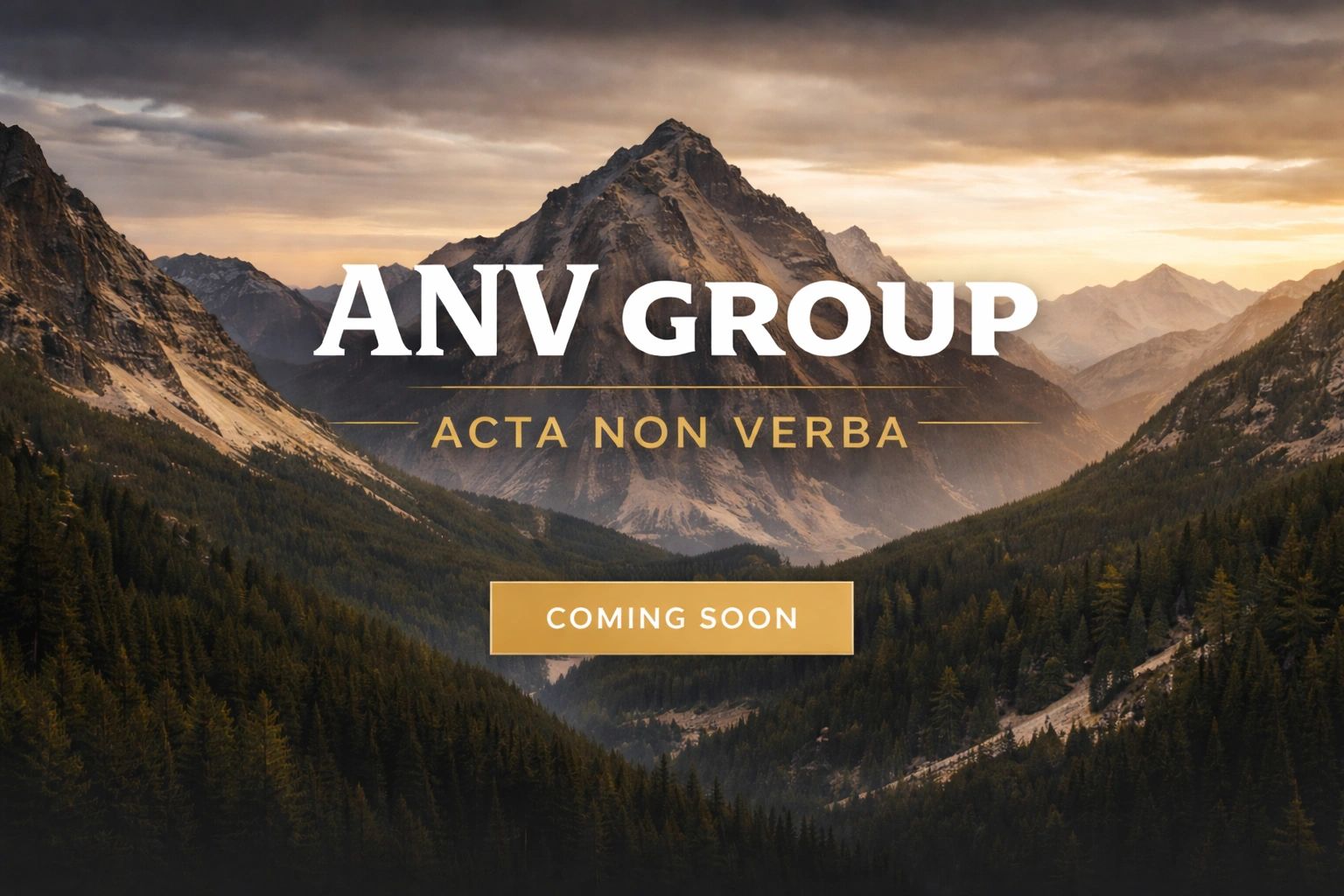 ANV Group