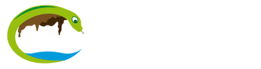 Tsukan A. C.